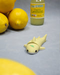 Lemon Shark
